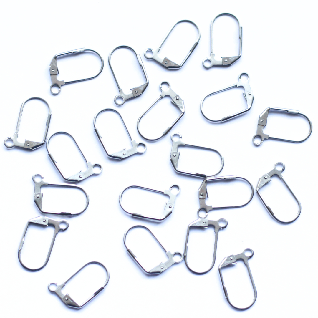 Long Leverback Steel Stainless Steel (304) Earrings