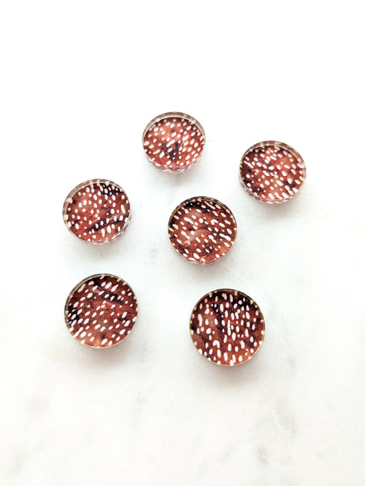 UV printed clear acrylic earring studs - 1.5cm circle, Safari - jewellery making