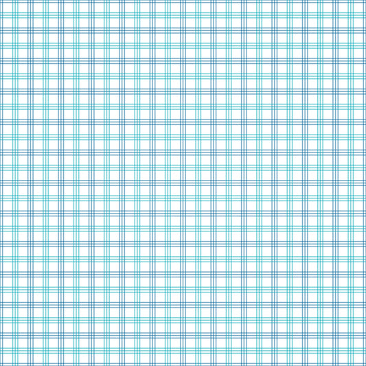 Gingham - 19