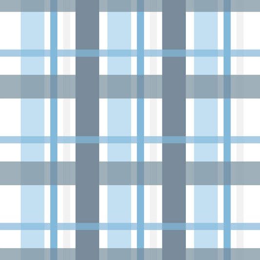 Gingham - 22