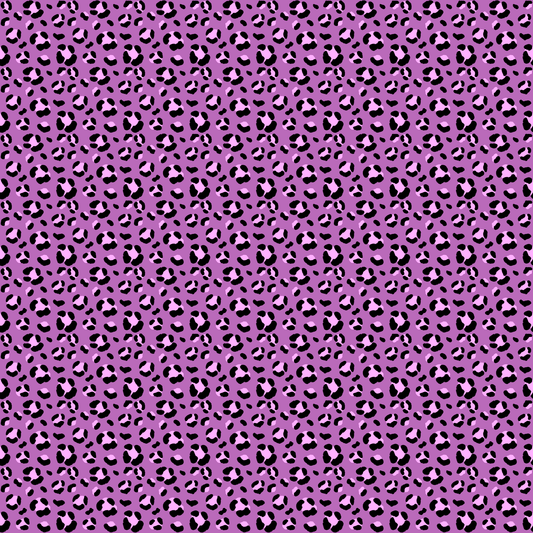 Leopard - 33