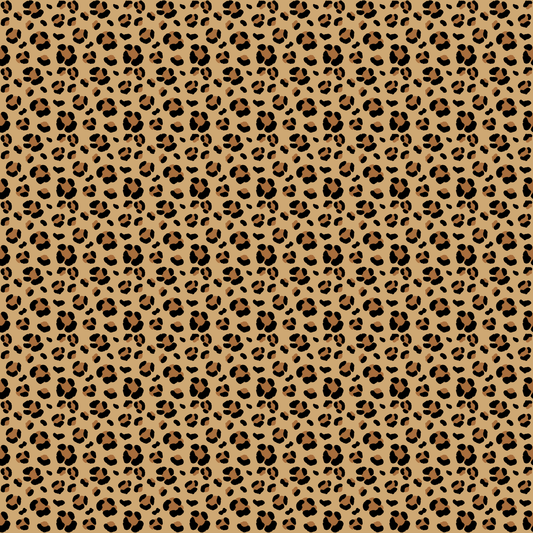 Leopard - 62