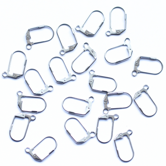 Long Leverback Steel Stainless Steel (304) Earrings