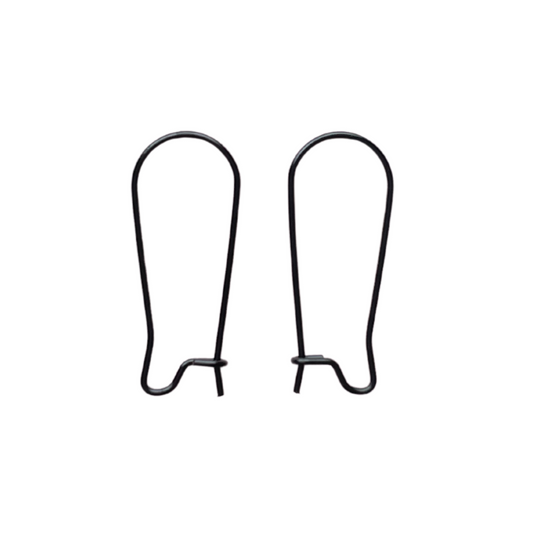 25mm Kidney Hook Black Stainless Steel (304) Earrings